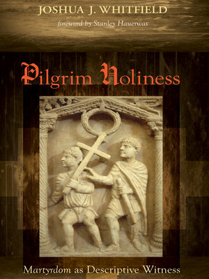 cover image of Pilgrim Holiness